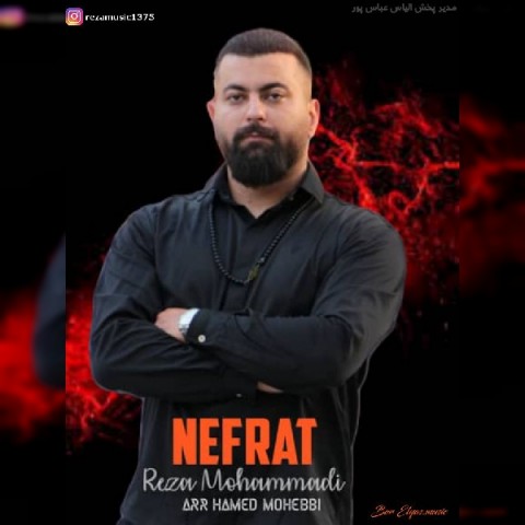 رضا محمدی  نفرت